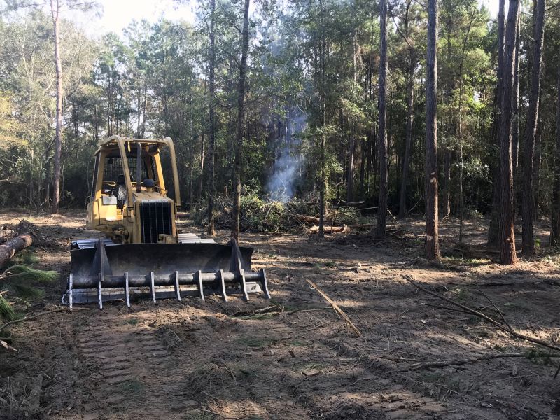 Large-Scale Land Clearing