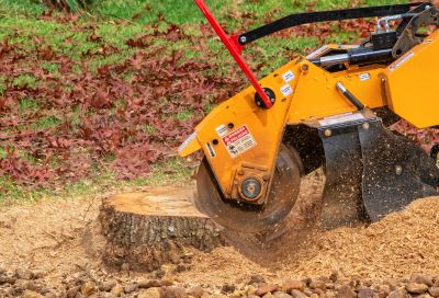Stump Grinding Experts