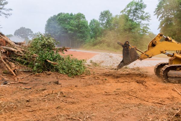 Cost of Forestry Mulching Service in Cocoa