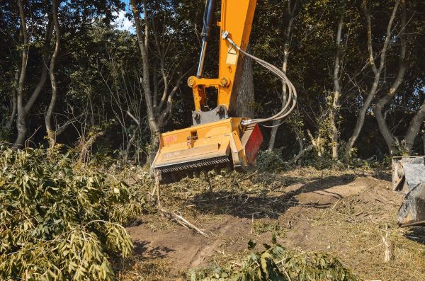 Cost of Brush Removal Service in Cocoa
