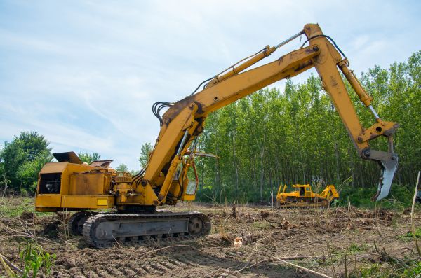 Cost of Farm Clearing in Cocoa