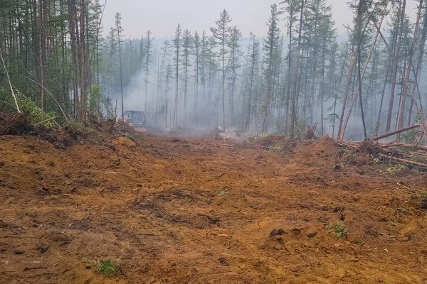 Cost of Hill Clearing in Cocoa