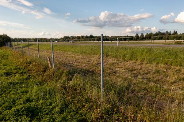Cost of Property Line Clearing in Cocoa
