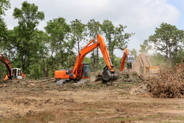 Cost of Commercial Lot Clearing in Cocoa