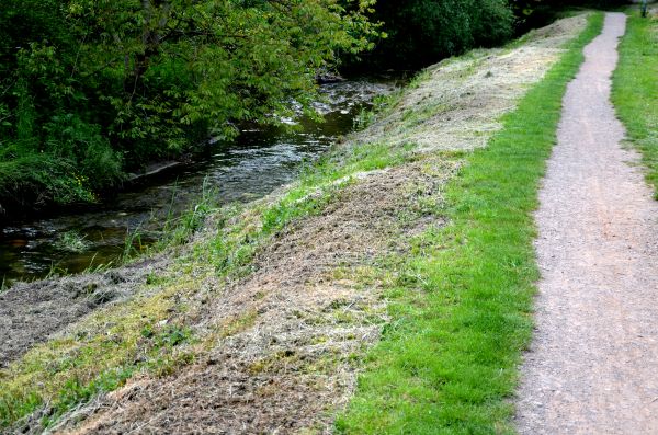 Cost of Trail Cutting in Cocoa